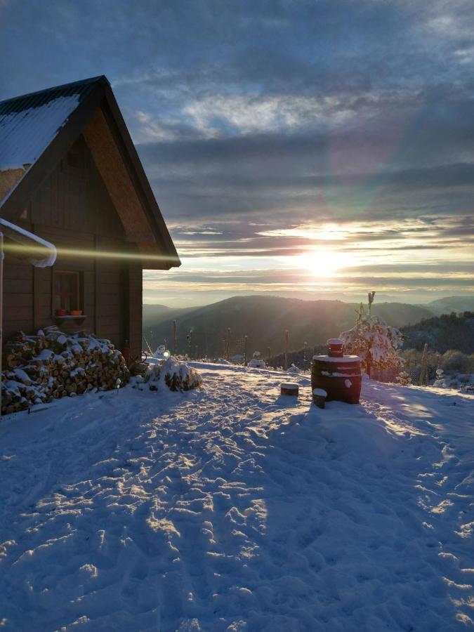 Villa Vikendica Rankovici Mokra Gora Exterior foto