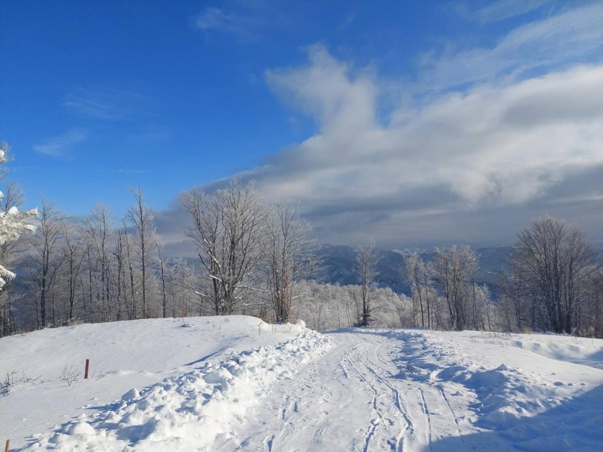 Villa Vikendica Rankovici Mokra Gora Exterior foto