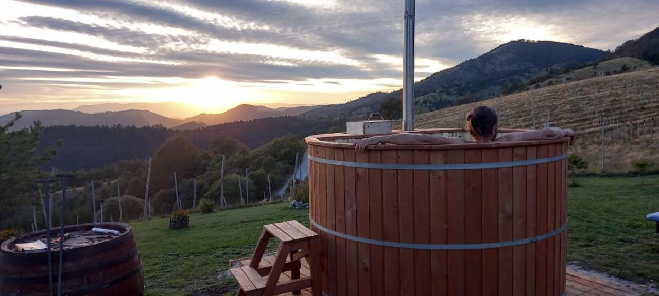 Villa Vikendica Rankovici Mokra Gora Exterior foto