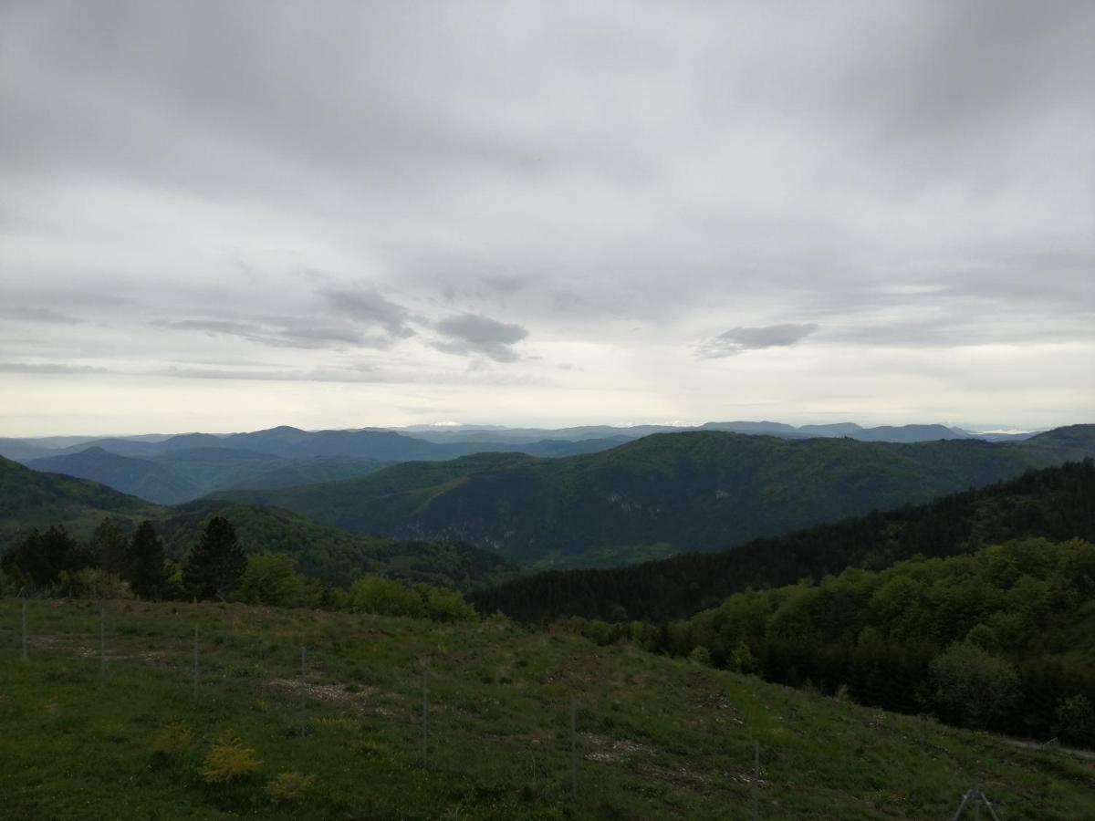 Villa Vikendica Rankovici Mokra Gora Exterior foto
