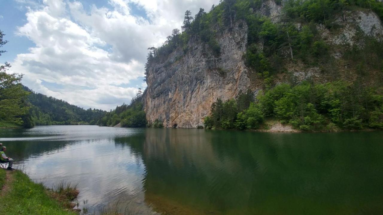 Villa Vikendica Rankovici Mokra Gora Exterior foto